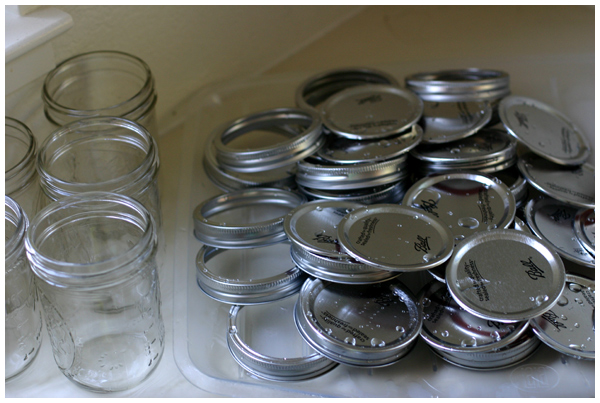 Bell Jars Galore