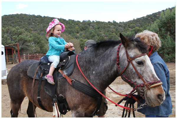 Toddler riding a horse