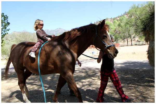 Toddler riding a horse